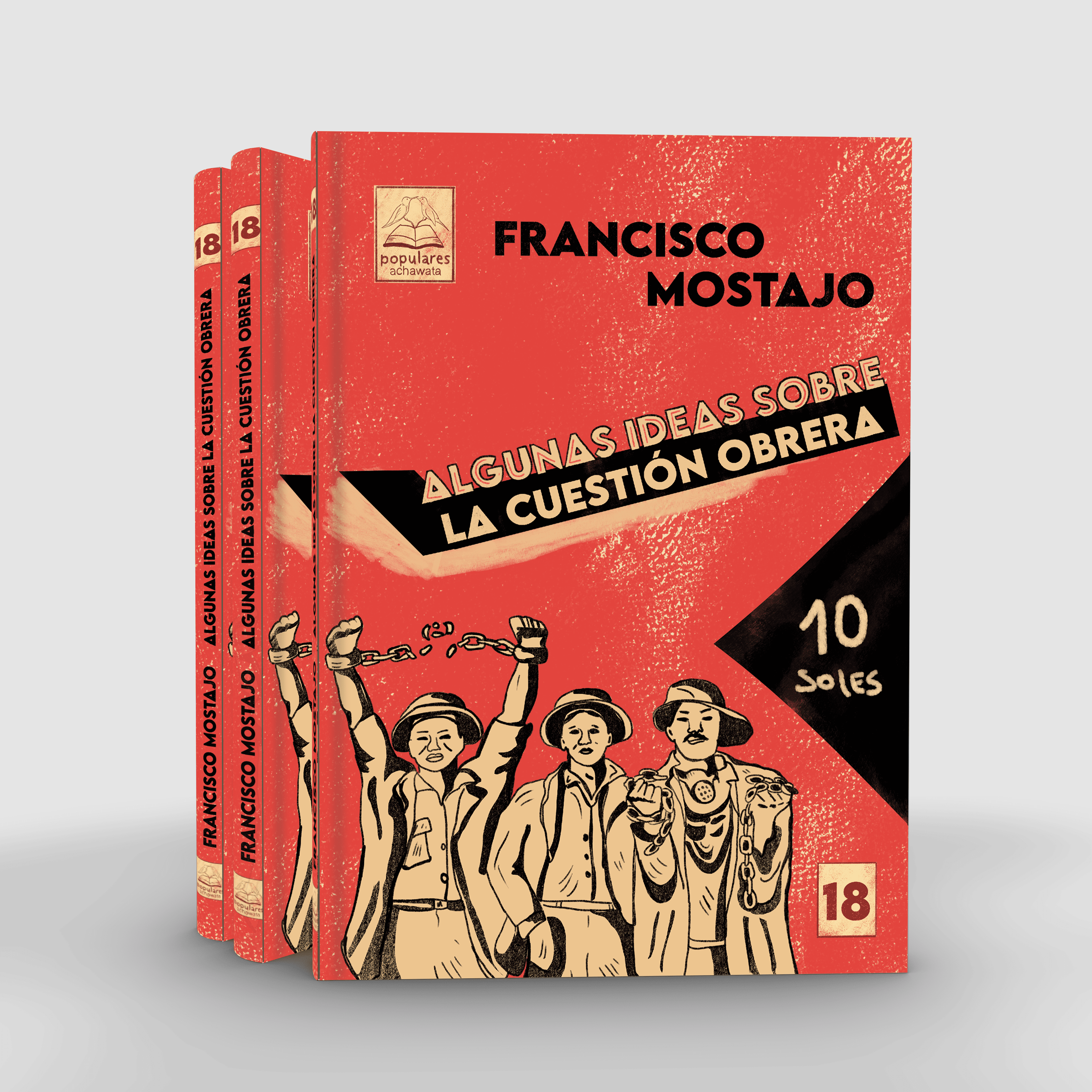 Algunas ideas sobre la cuestión obrera (colección popular)