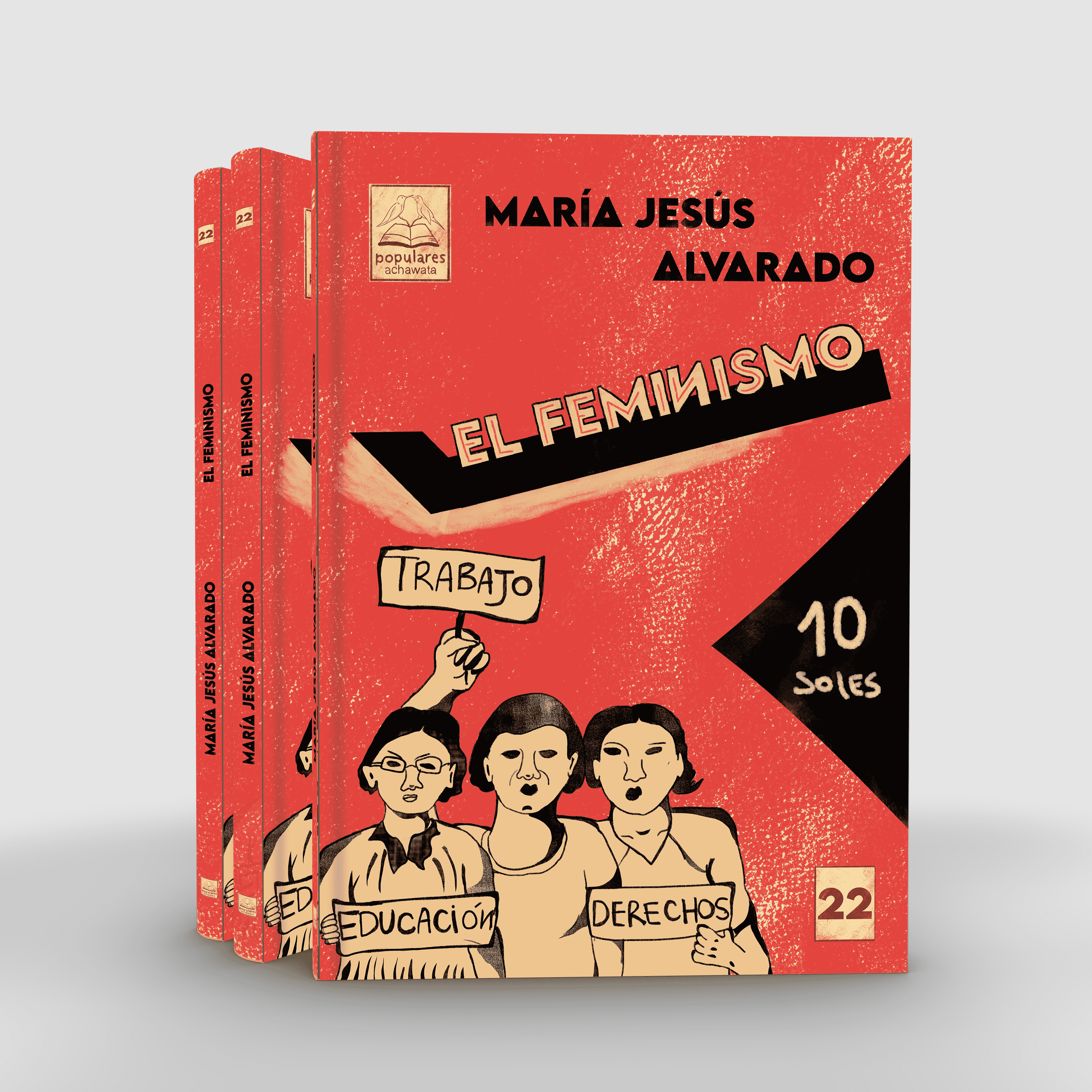 El feminismo (colección popular)